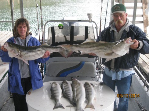 Nice Striped Bass